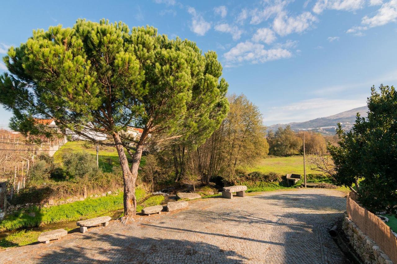 Casa Do Loureiro 1 - Seia - Serra Da Estrela Экстерьер фото