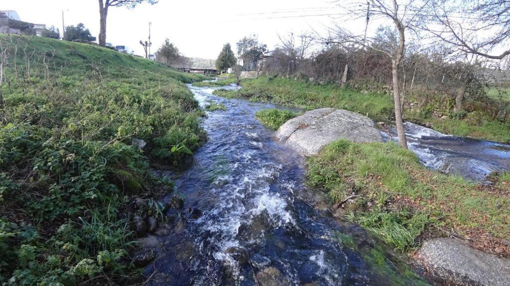 Casa Do Loureiro 1 - Seia - Serra Da Estrela Экстерьер фото